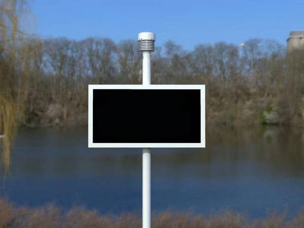 Imagen real del caso del sistema de monitoreo en línea de iones negativos de oxígeno